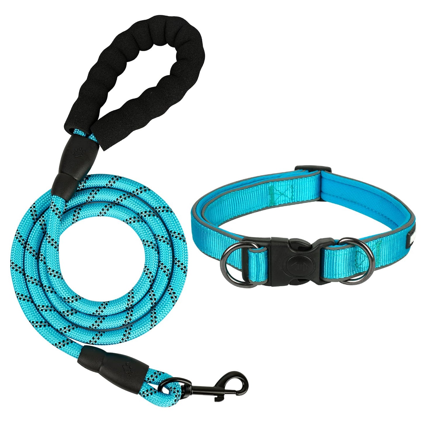 Dog Collar and Leash Set