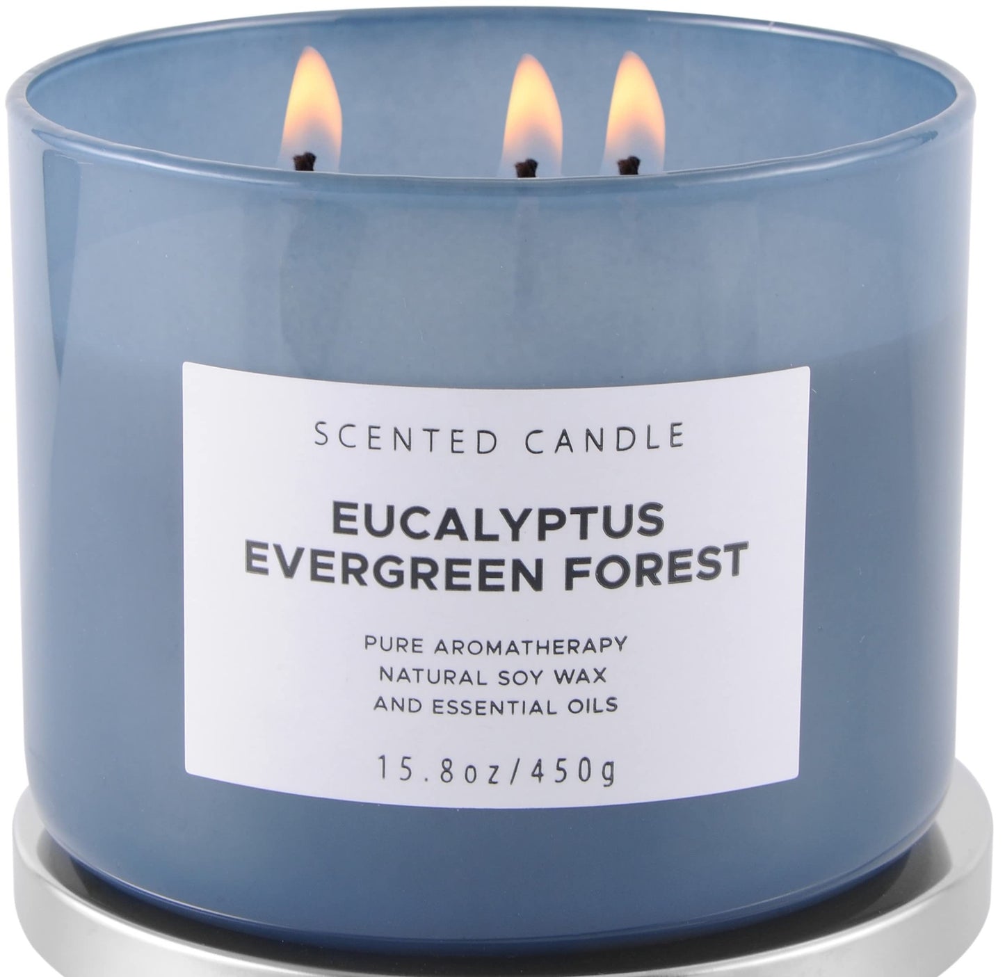 Eucalyptus Evergreen Forest Soy Candle