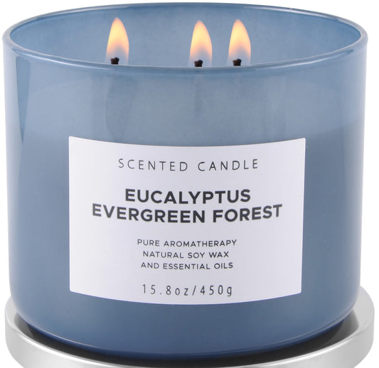 Eucalyptus Evergreen Forest Soy Candle