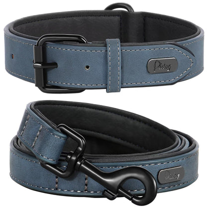 Didog Soft Padded Leather Dog Collar and Leash Set